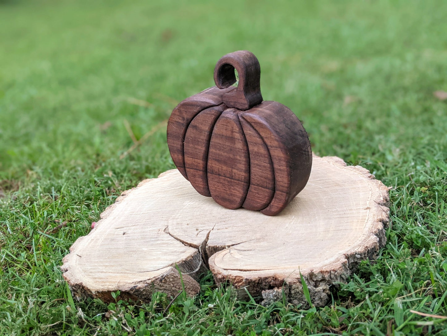 Black Walnut Pumpkin