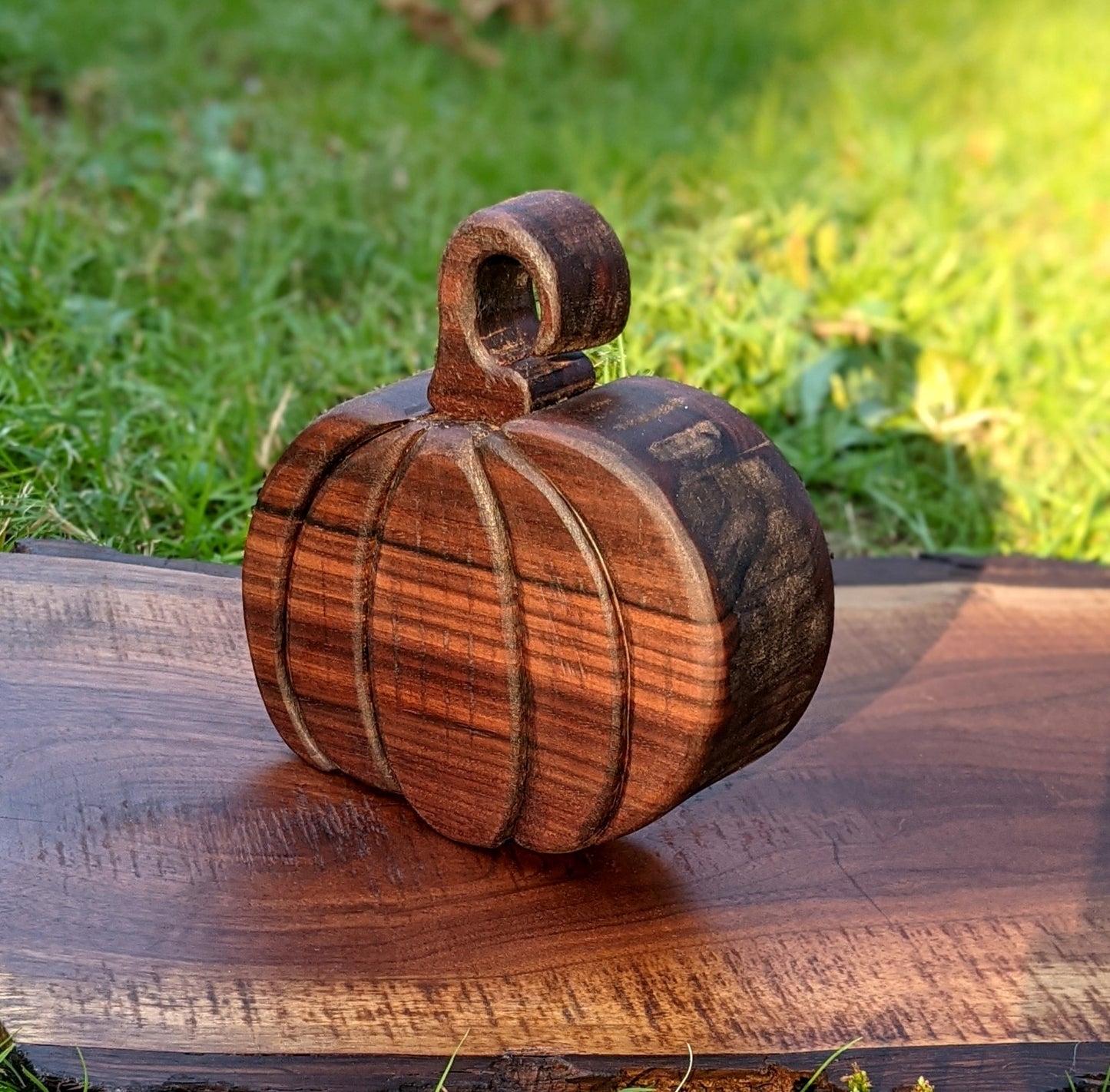 Black Walnut Pumpkin