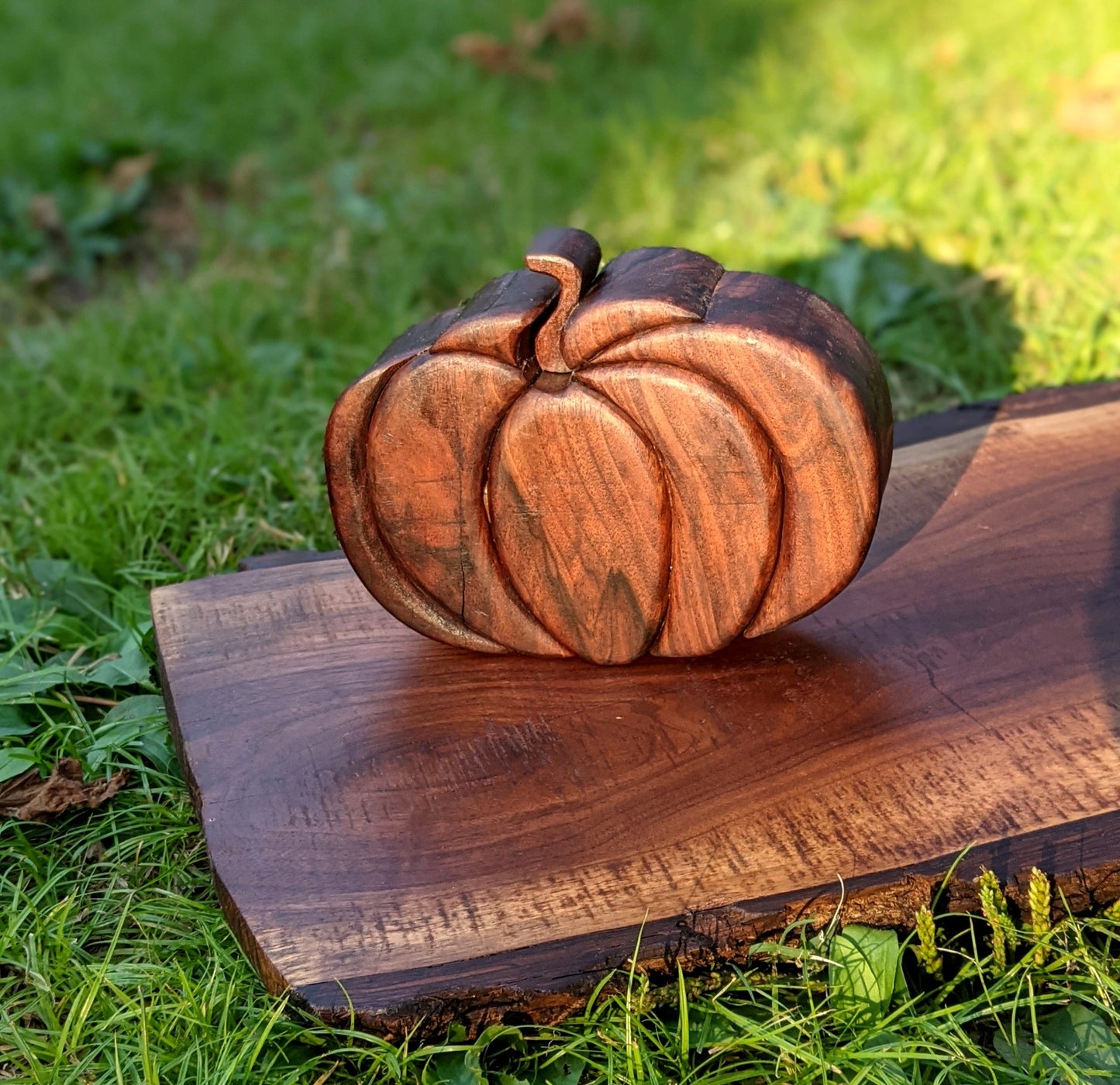 Fancy Black Walnut Pumpkin