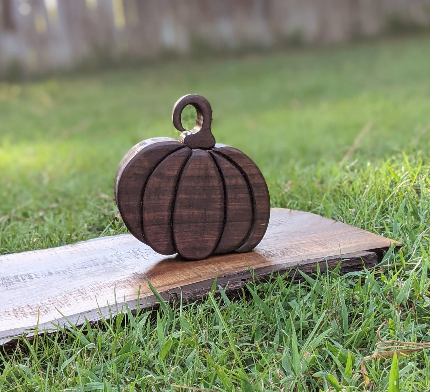 Black Walnut Pumpkin
