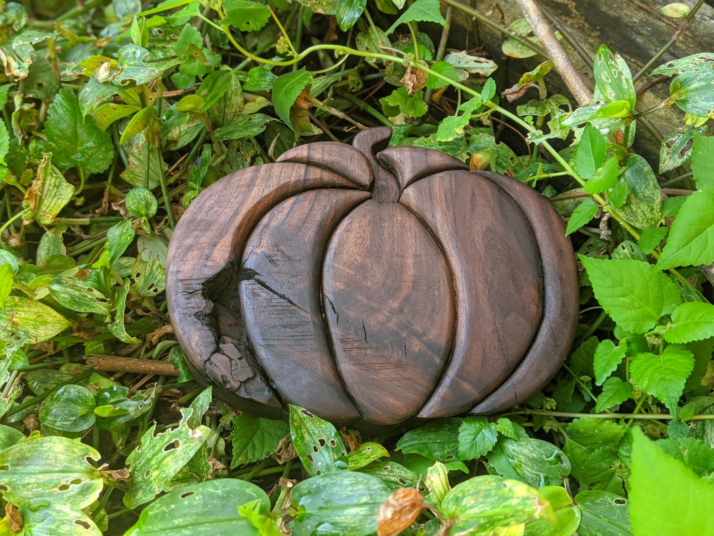 Fancy Black Walnut Pumpkin